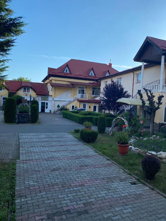 Hotel Pensiunea Viena Târgu-Mureş Exterior foto