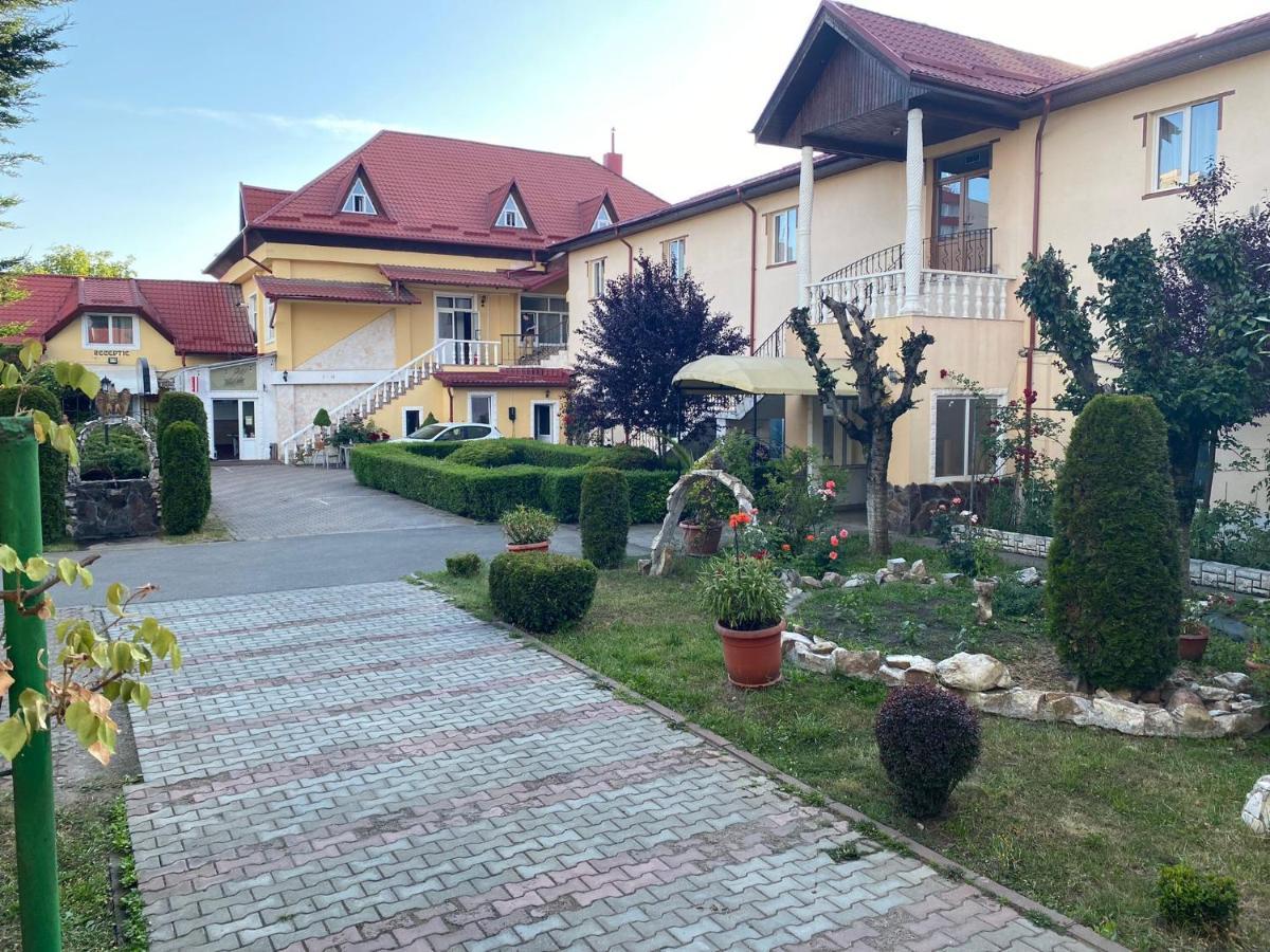 Hotel Pensiunea Viena Târgu-Mureş Exterior foto