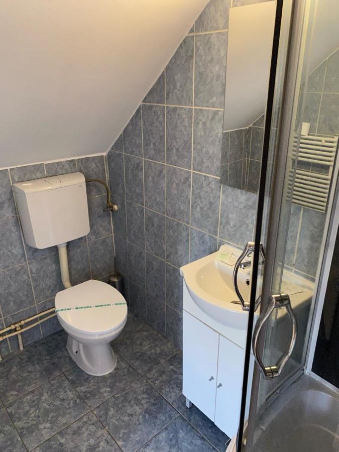 Pensiunea Viena Târgu-Mureş Exterior foto